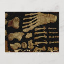 Search for anatomically postcards Aquapendente