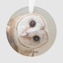 Search for barn owl christmas tree decorations Cute