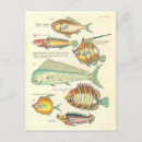 Search for poisson postcards Fish