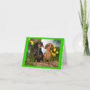 Search for dachsie cards Dog