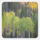 Search for provo stickers Aspen
