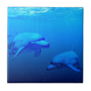 Search for dolphin tiles Water