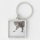 Search for veterinary key rings Cute