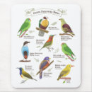 Search for philippines mousepads Wildlife