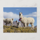 Search for andes mountain postcards Argentina