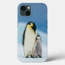 Search for baby chick iphone cases Animals in the wild