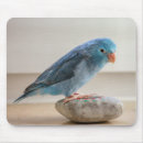 Search for for bird lovers mousepads Cute