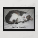 Search for disturb postcards Funny