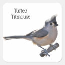 Search for titmouse stickers Nature