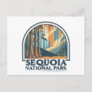 Search for giant tree postcards Sequoia national park
