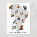 Search for wildlife postcards Safari
