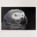 Search for african grey puzzles Animal