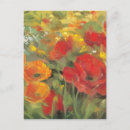 Search for oriental poppies postcards Red