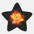 Search for fire star stickers Phoenix