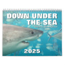 Search for shark office supplies Sea