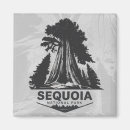 Search for sequoia national park magnets Forest