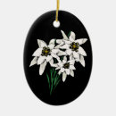 Search for edelweiss christmas tree decorations Floral
