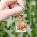 Search for ginger cat key rings Kitten