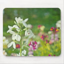 Search for fragrance mousepads Garden