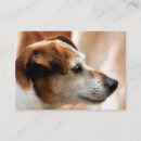 Search for terrier business cards Jack russell terrier