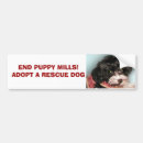 Search for puppy bumper stickers Puppies