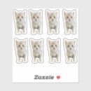 Search for cat in winter stickers Kitten