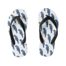 Search for parrot shoes Macaw