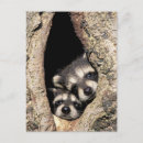Search for cavities postcards Cavity