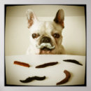 Search for moustache posters Humour