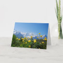 Search for swiss flowers cards Mountain