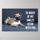 Search for pug picture posters Puppy