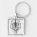 Search for human brain key rings Part