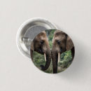 Search for touching badges Affection