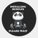 Search for gym lover stickers Body transformation