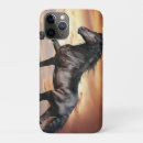 Search for black horse cases Animal