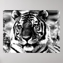 Search for bw art Nature