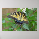 Search for colourful insect posters Yellow