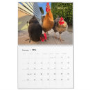Search for chicken calendars 2026