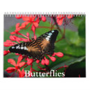 Search for wing office supplies Butterfly