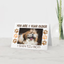 Search for shih tzu birthday cards Funny