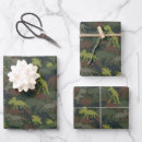 Search for camouflage wrapping paper Dinosaur