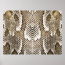 Search for python posters Background