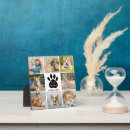 Search for paw print plaques Photo collage