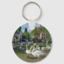 Search for white swan key rings Nature