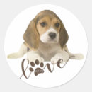 Search for foxhound stickers Beagle
