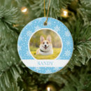 Search for new puppy christmas tree decorations Dog photo