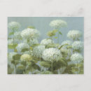 Search for hydrangea garden postcards Blue