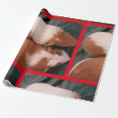 Search for pigs wrapping paper Guinea pig