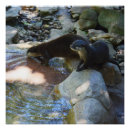 Search for river otter posters Otters