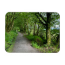 Search for forest walk magnets Footpath